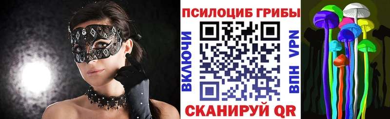 Купить где  Сосновоборск  Галлюциногенные грибы GOLDEN TEACHER 